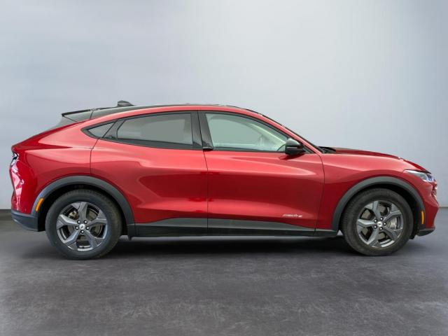 Ford Mustang Mach-E image 3