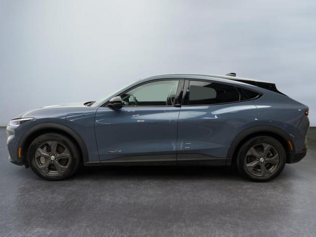 Ford Mustang Mach-E image 3