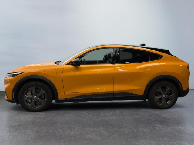 Ford Mustang Mach-E image 4