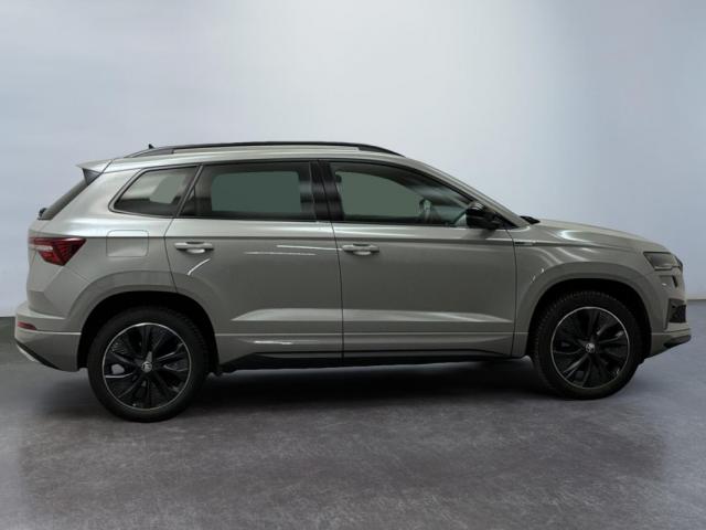 Skoda Karoq image 1