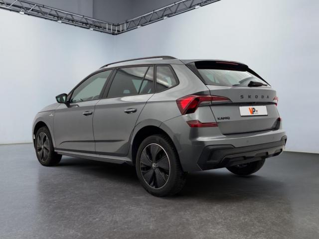 Skoda Kamiq image 1