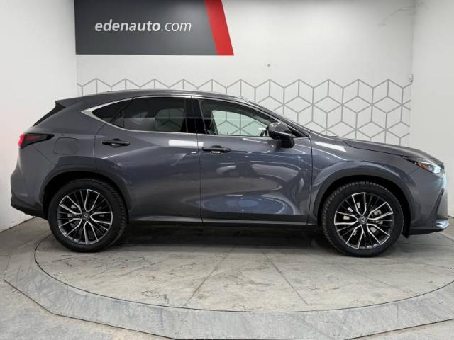 Lexus Nx image 6