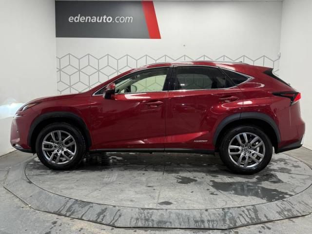 Lexus Nx image 8