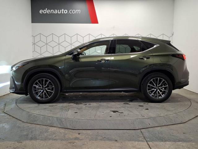 Lexus Nx image 1