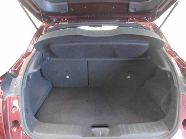 Nissan Juke image 1