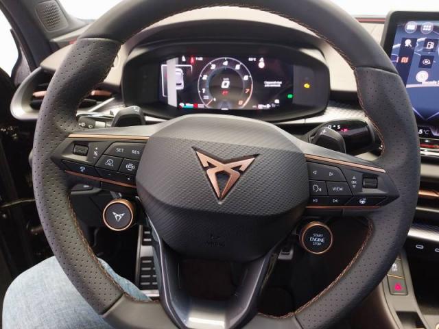 Cupra Terramar image 3