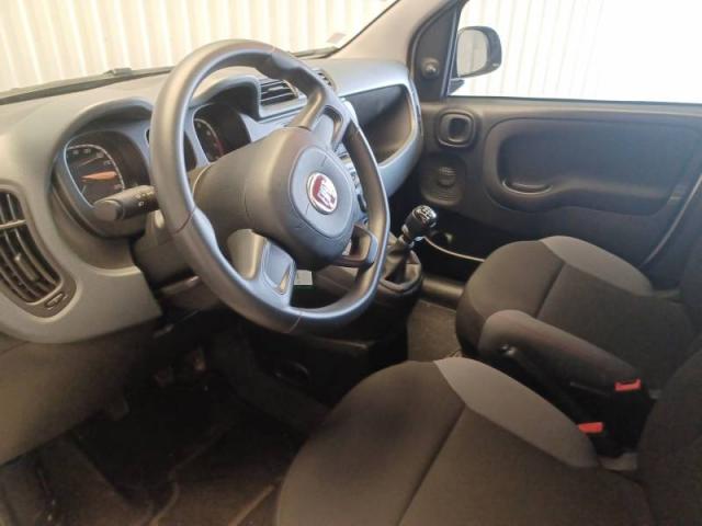 Fiat Panda image 6
