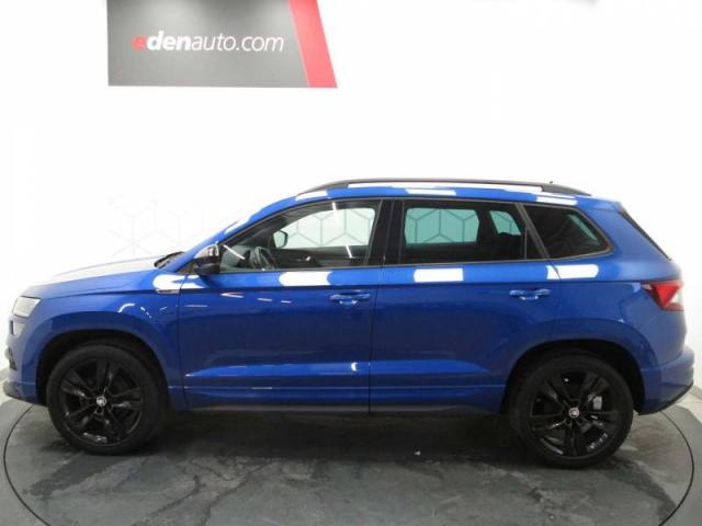 Skoda Karoq image 1