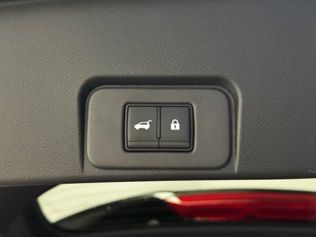 Nissan X-Trail image 4