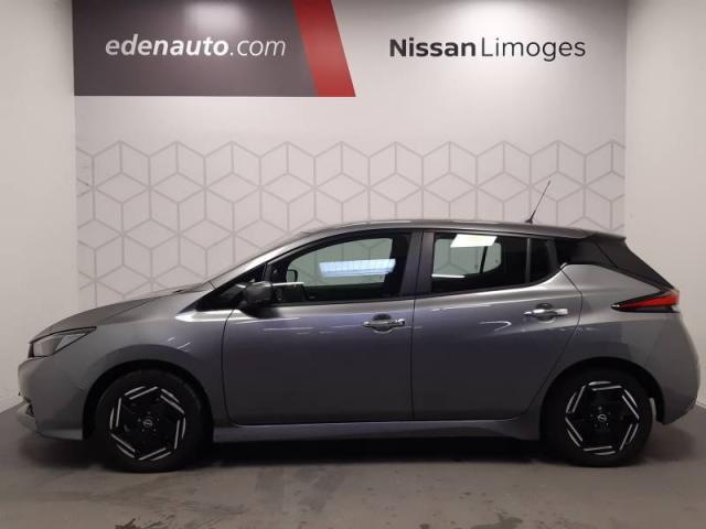 Nissan Leaf image 1