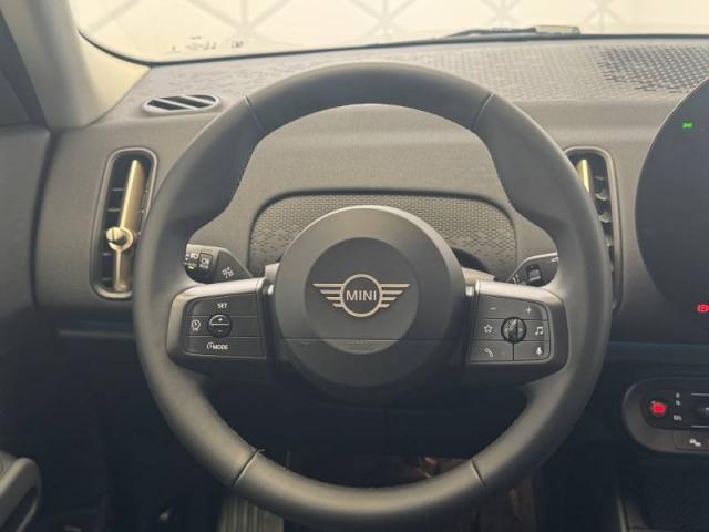 Mini Countryman image 4