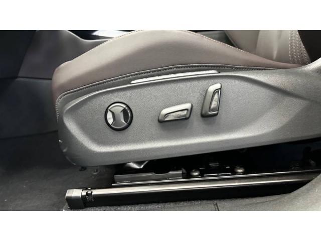 Cupra Terramar image 1