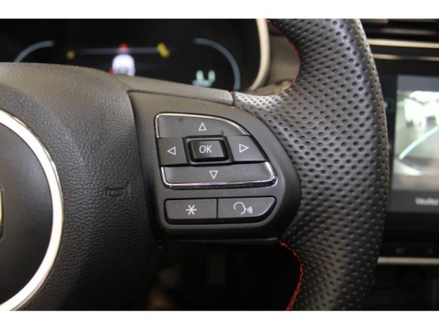 Mg Zs image 6