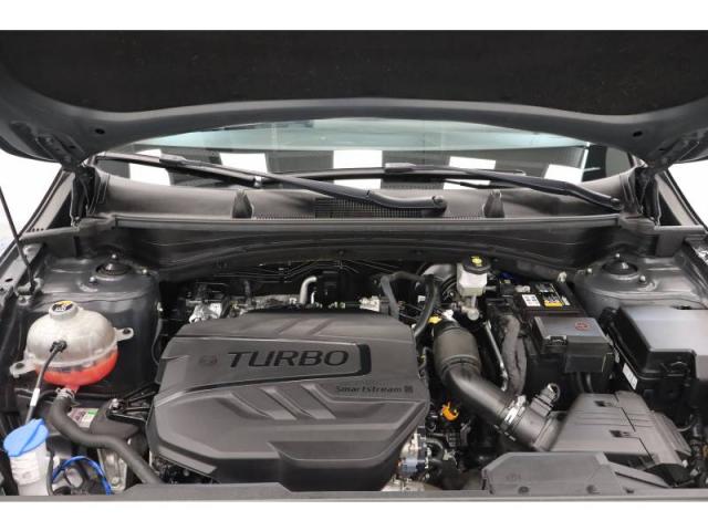 Kia Sportage image 2