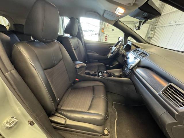Nissan Leaf image 1