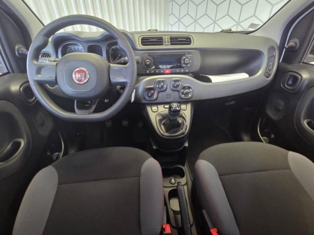 Fiat Panda image 3