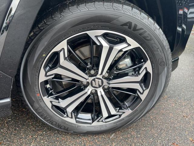 Suzuki Across image 6