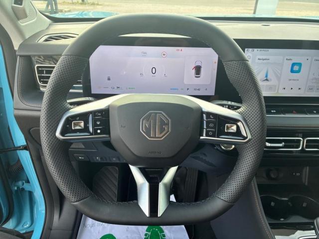 Mg Ehs image 2