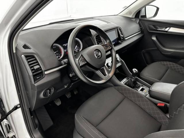 Skoda Karoq image 1