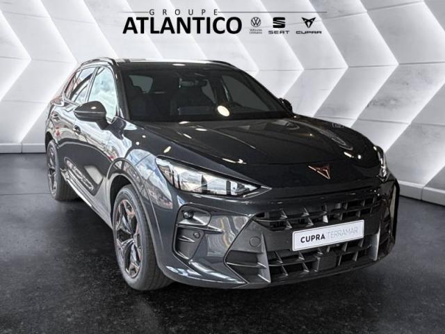 Cupra Terramar image 7