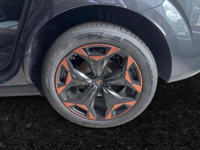 Cupra Terramar image 8
