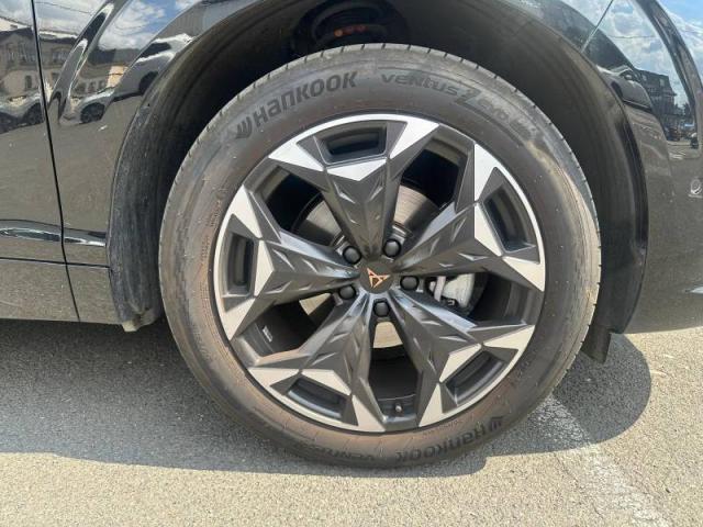 Cupra Terramar image 9