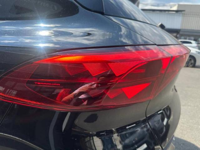 Cupra Terramar image 3