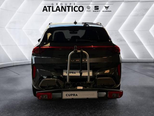 Cupra Terramar image 9