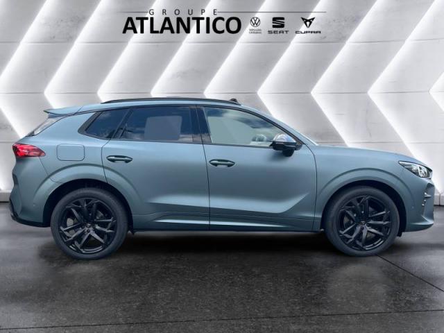Cupra Terramar image 8