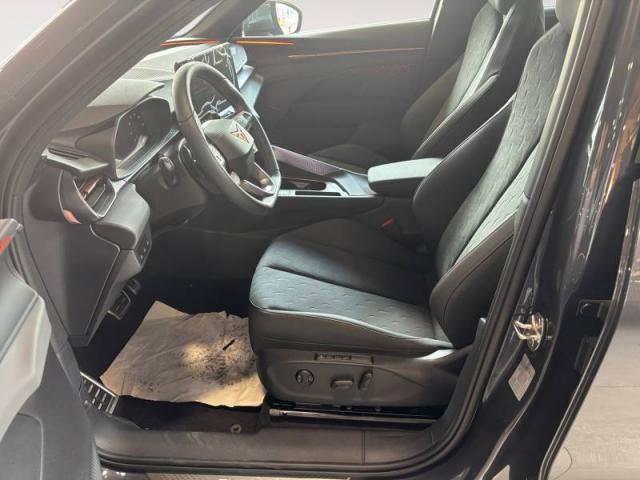 Cupra Terramar image 4