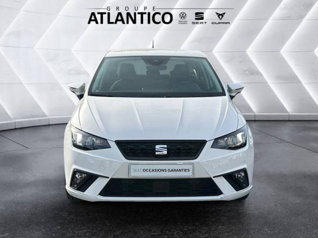Seat Ibiza image 1