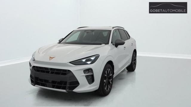 Cupra Terramar image 9