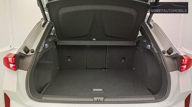 Cupra Terramar image 8
