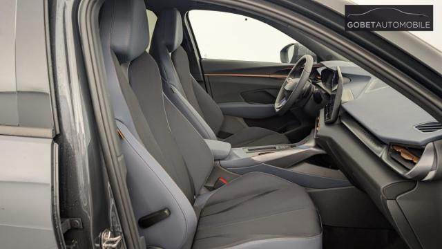Cupra Terramar image 1