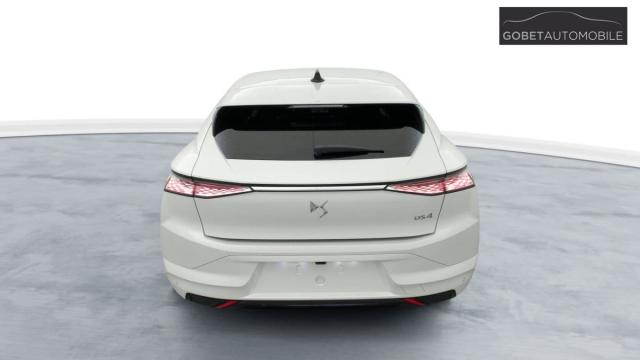 Ds Ds 4 image 8