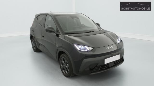 Byd Dolphin Surf 43.2 Kwh 156 Ch Comfort