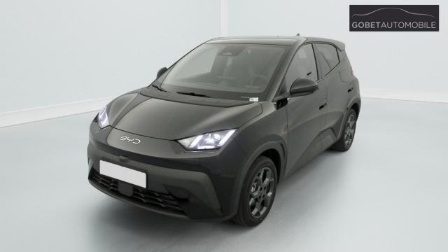 Byd Dolphin image 9