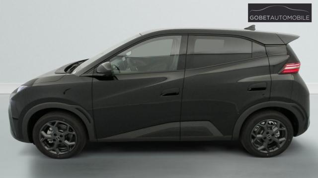 Byd Dolphin image 4