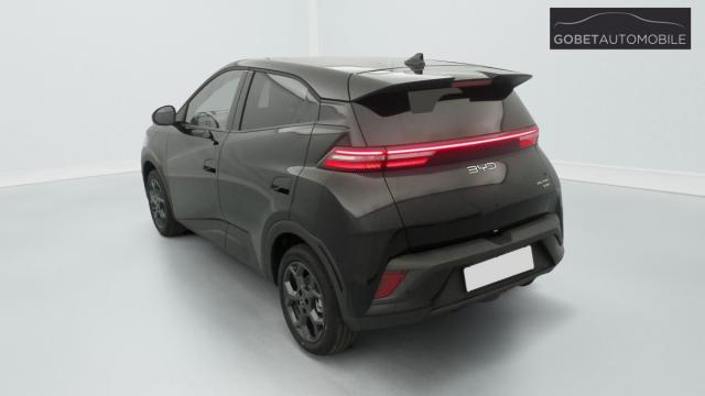 Byd Dolphin image 3