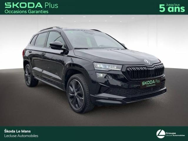 Skoda Karoq image 1