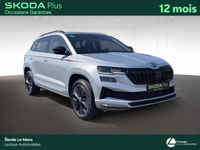 Skoda Karoq image 1
