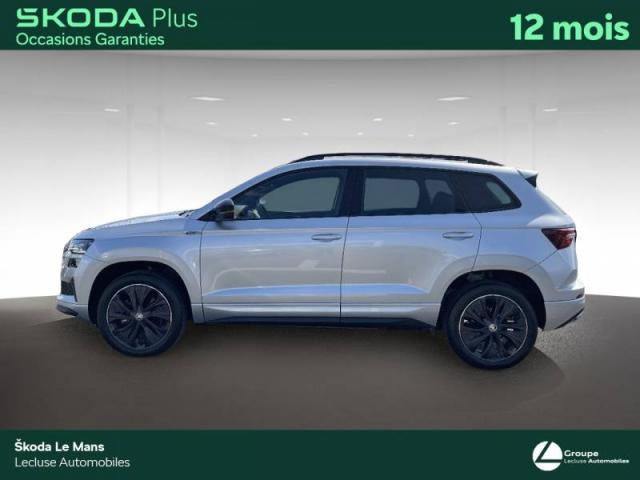 Skoda Karoq image 3