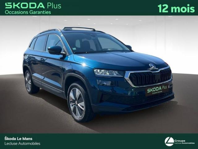 Skoda Karoq image 1
