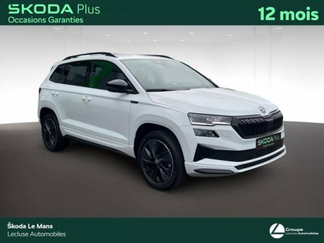 Skoda Karoq image 3