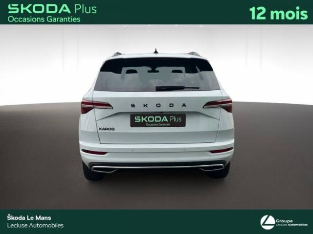 Skoda Karoq image 1