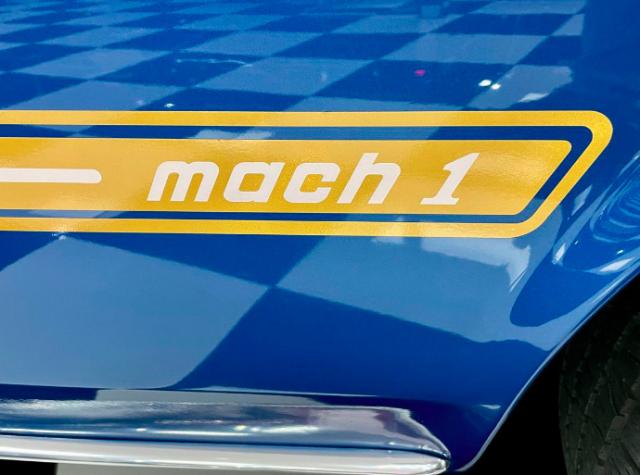 Ford Mustang image 8