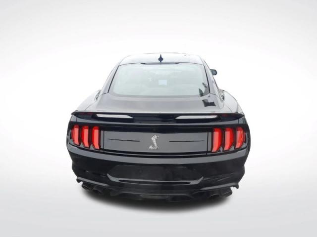 Mustang image 7