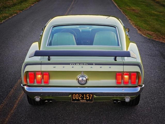 Mustang image 2