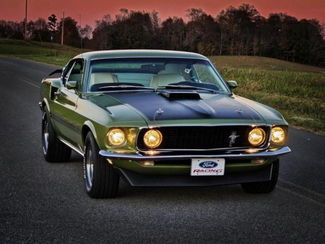 Ford Mustang image 3