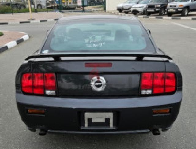 Mustang image 5